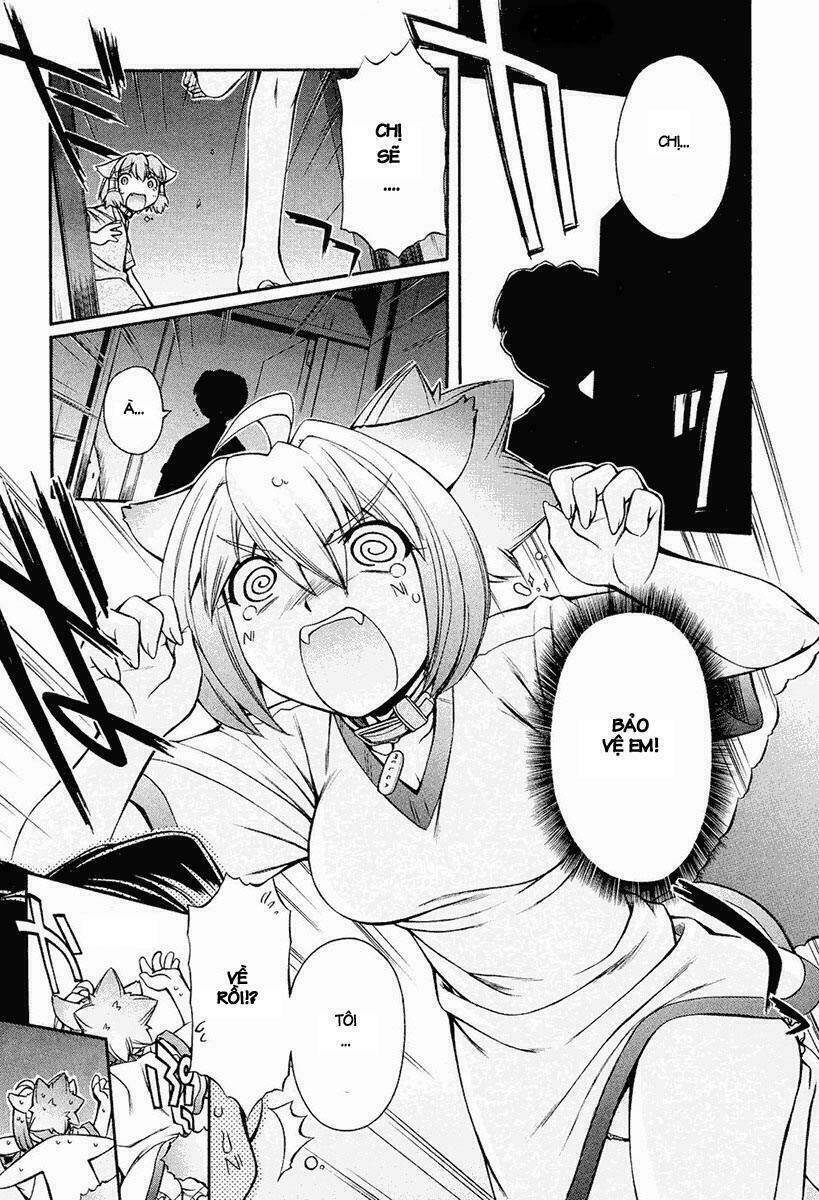 Inumimi - Chương 11