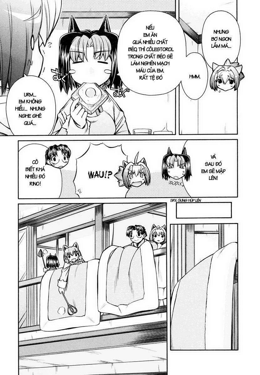 Inumimi - Chương 17