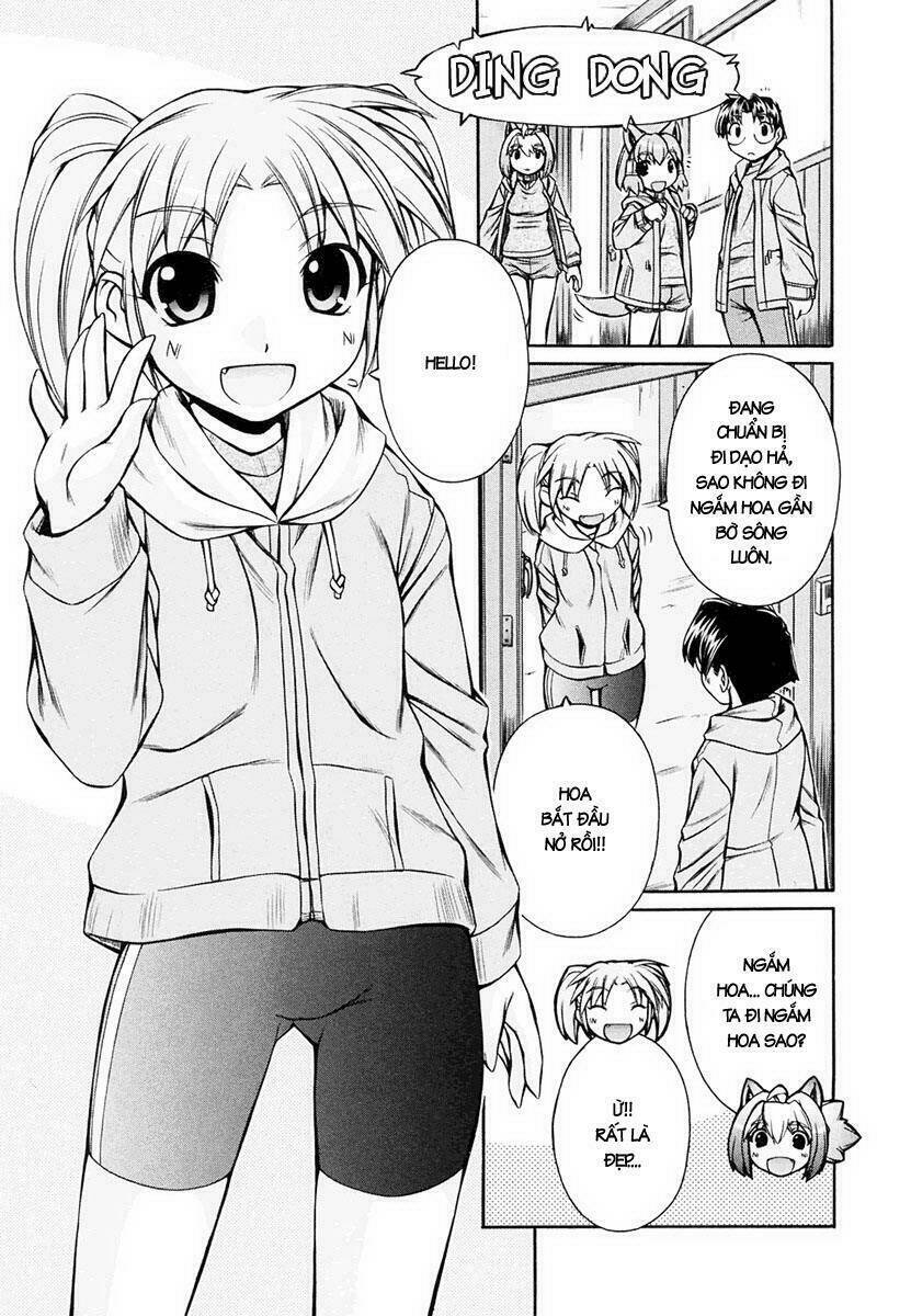 Inumimi - Chương 17