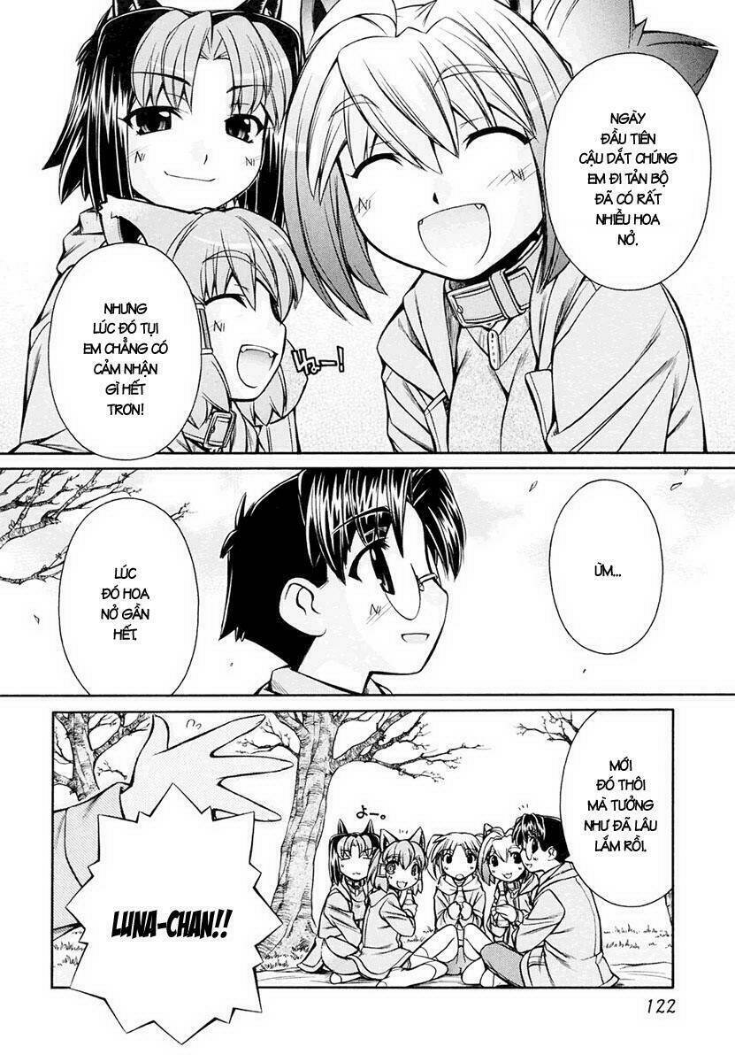 Inumimi - Chương 17