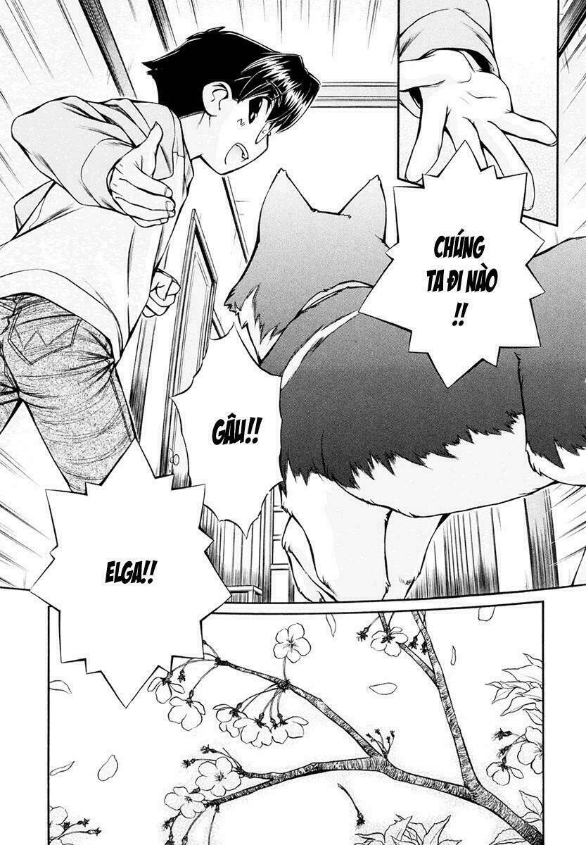 Inumimi - Chương 19