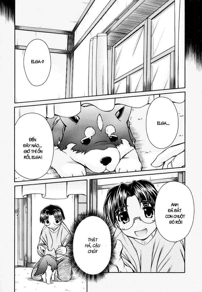 Inumimi - Chương 19