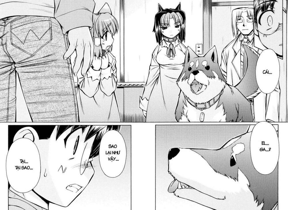 Inumimi - Chương 19