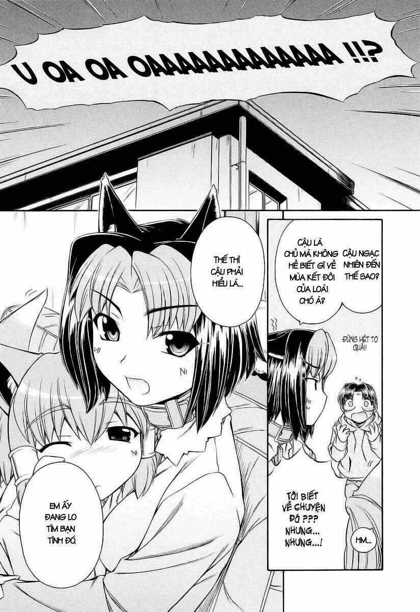 Inumimi - Chương 6