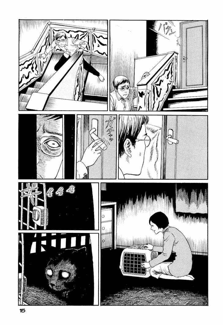 Ito Junji Cat's Diary - Chương 2