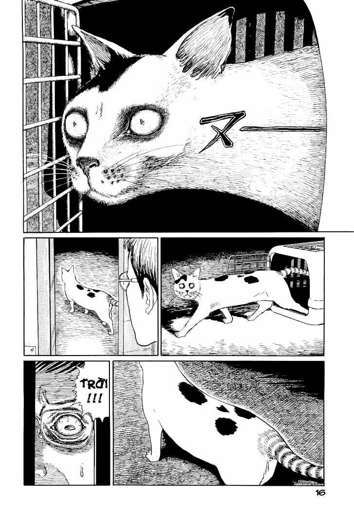 Ito Junji Cat's Diary - Chương 2