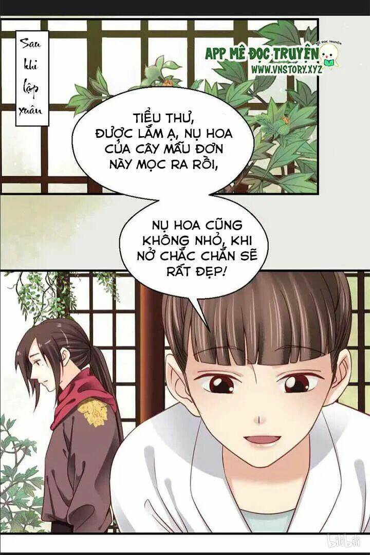 Kiều Nữ Độc Phi - Chương 104