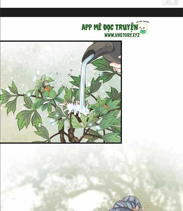 Kiều Nữ Độc Phi - Chương 104