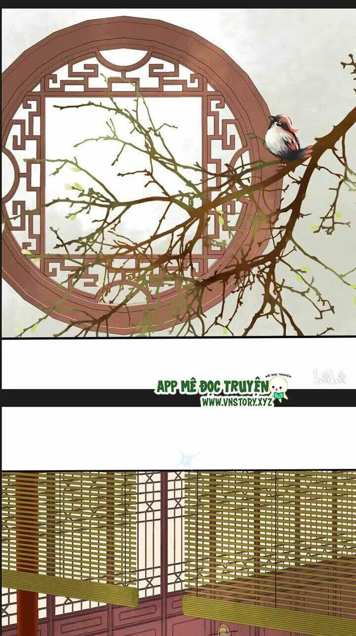 Kiều Nữ Độc Phi - Chương 106