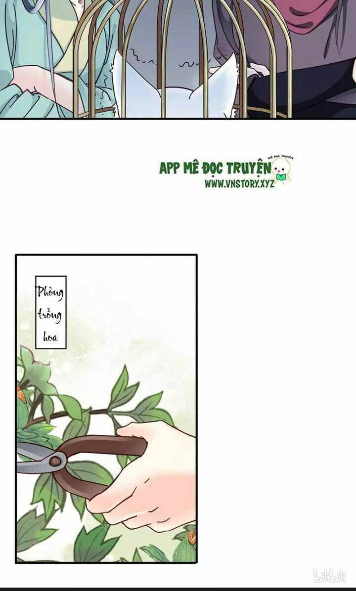 Kiều Nữ Độc Phi - Chương 107