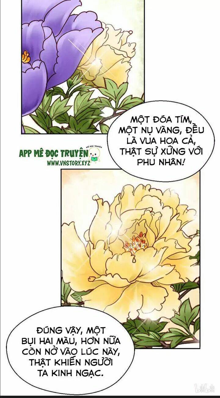 Kiều Nữ Độc Phi - Chương 110