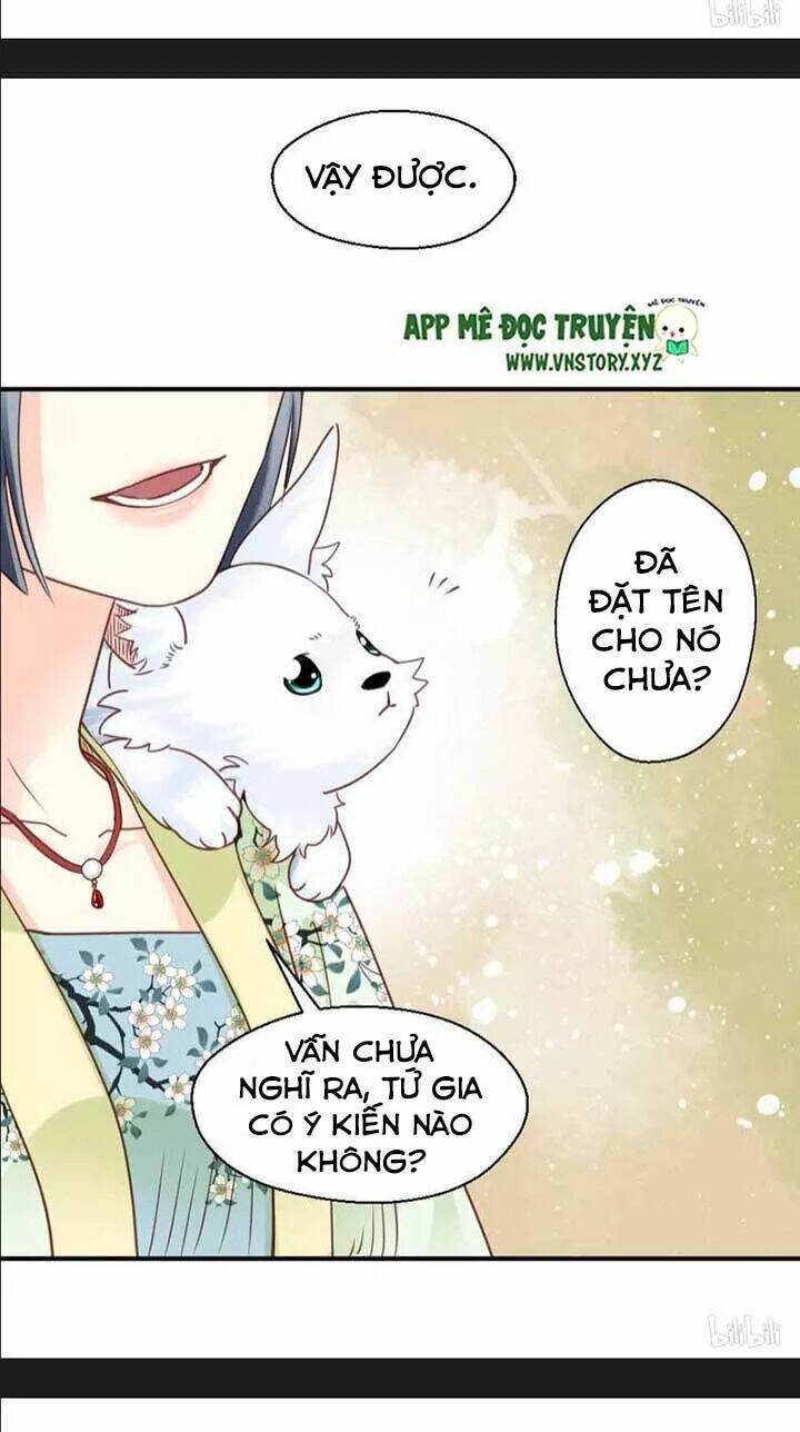 Kiều Nữ Độc Phi - Chương 111