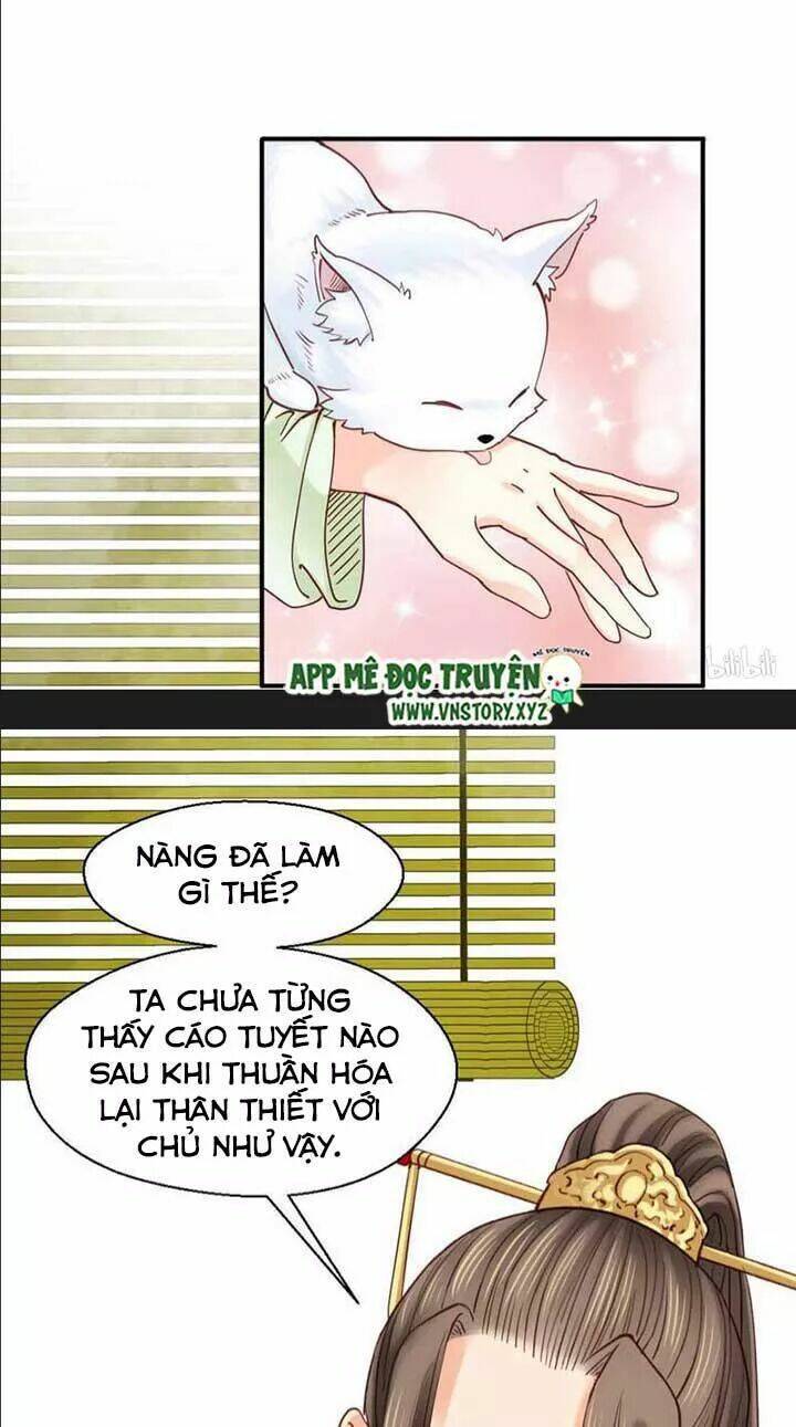 Kiều Nữ Độc Phi - Chương 111