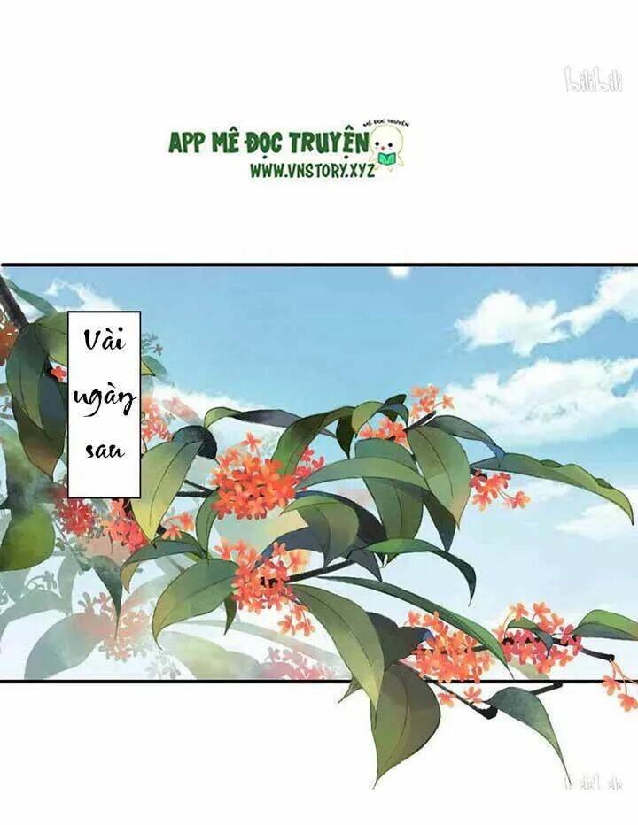 Kiều Nữ Độc Phi - Chương 117