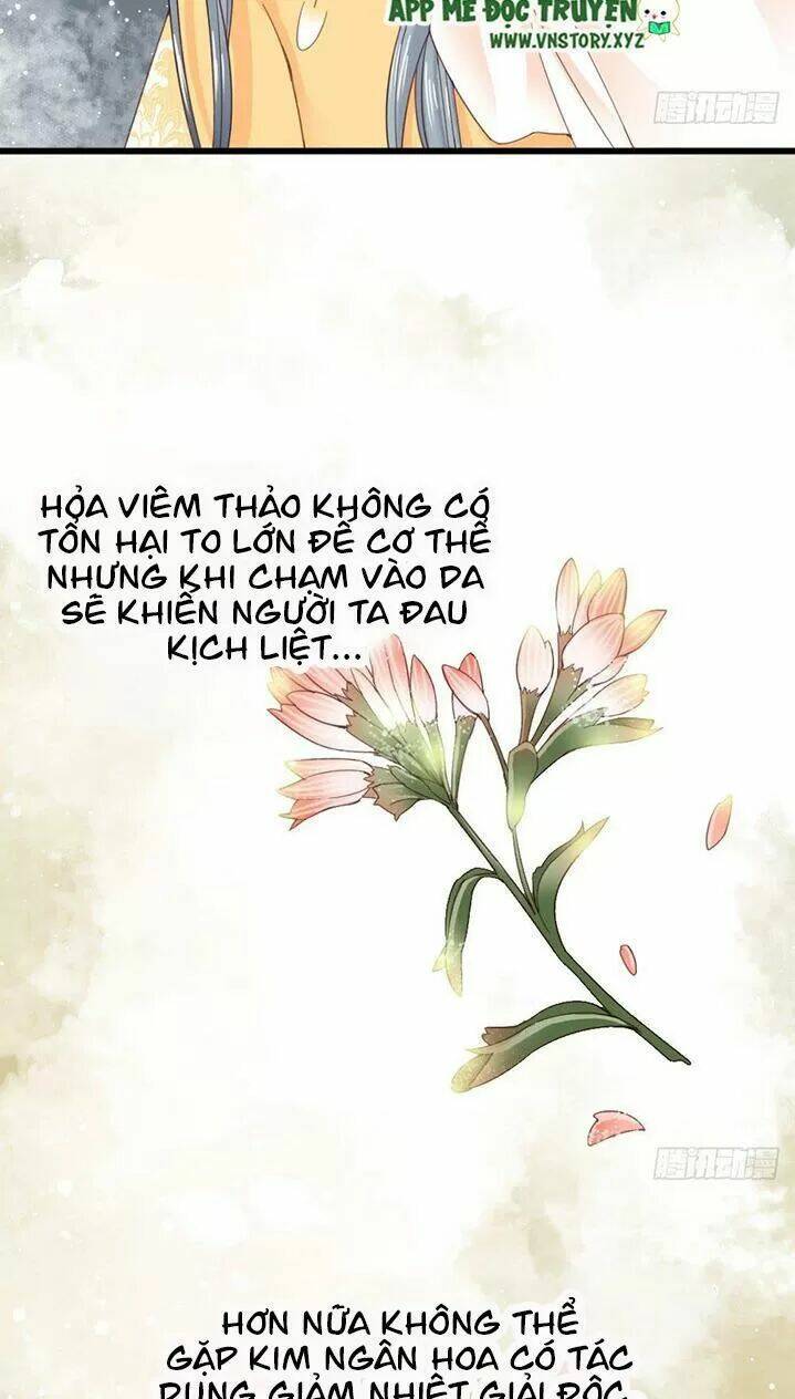Kiều Nữ Độc Phi - Chương 175