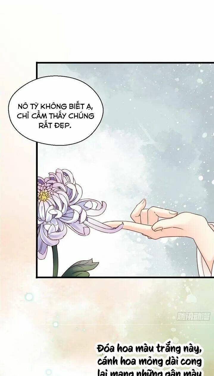 Kiều Nữ Độc Phi - Chương 195
