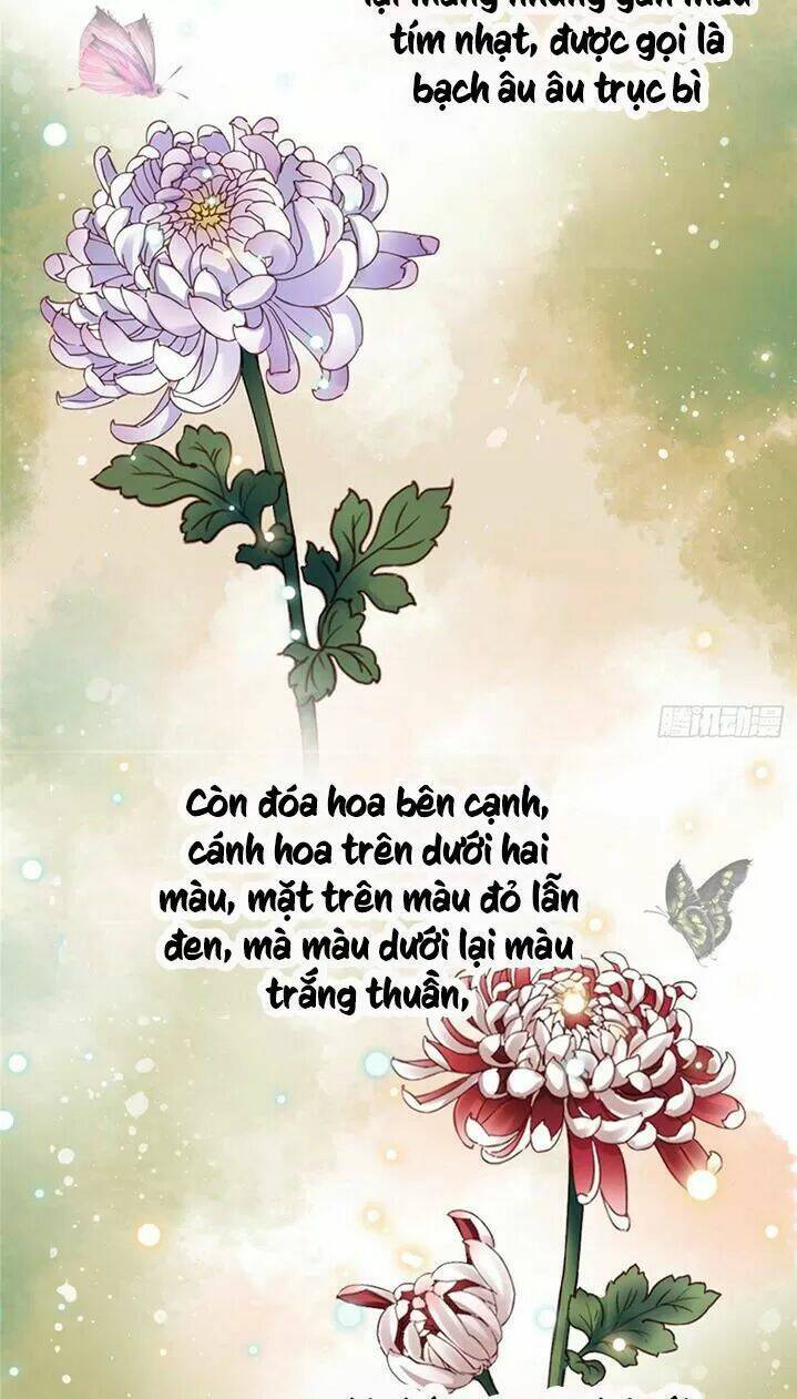 Kiều Nữ Độc Phi - Chương 195