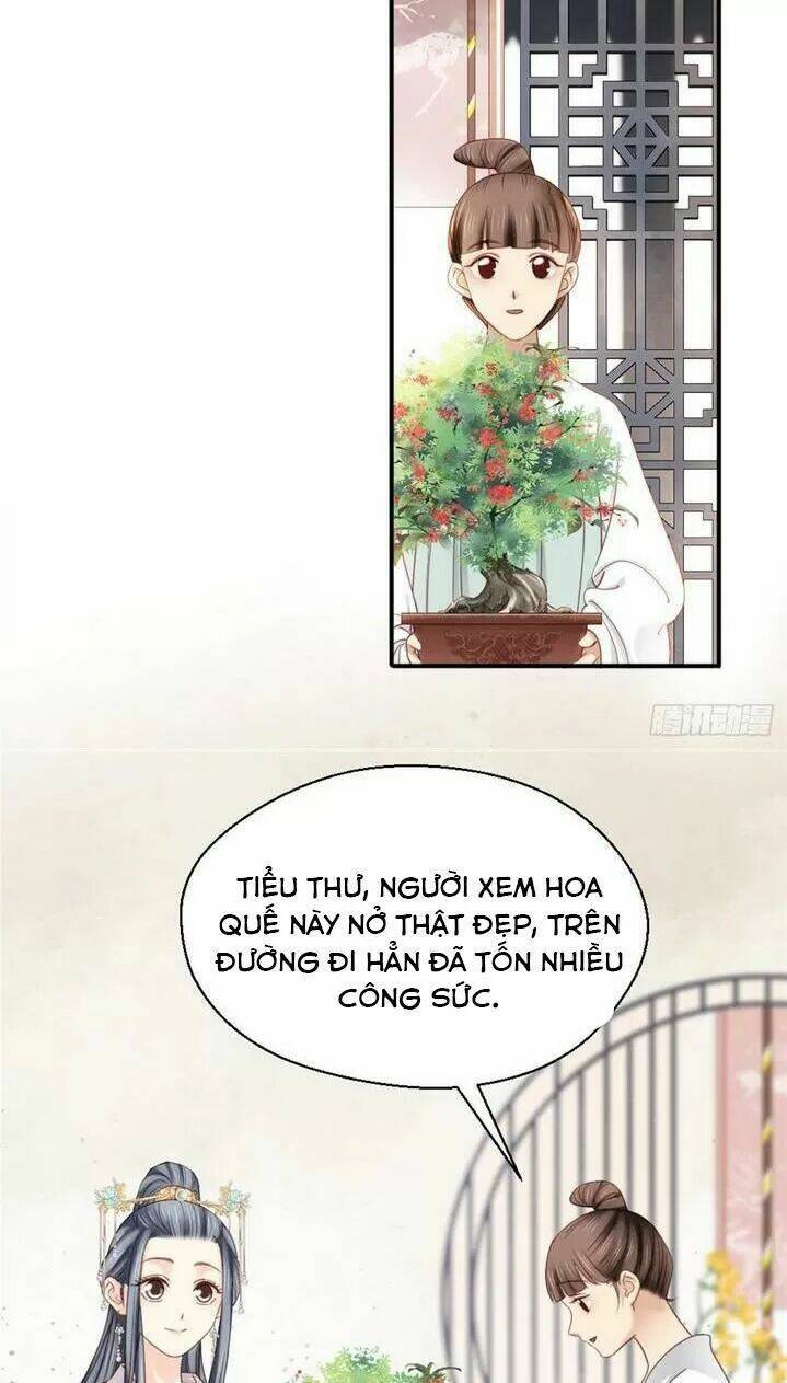 Kiều Nữ Độc Phi - Chương 196