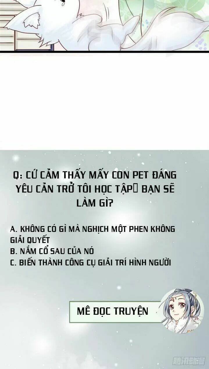 Kiều Nữ Độc Phi - Chương 211