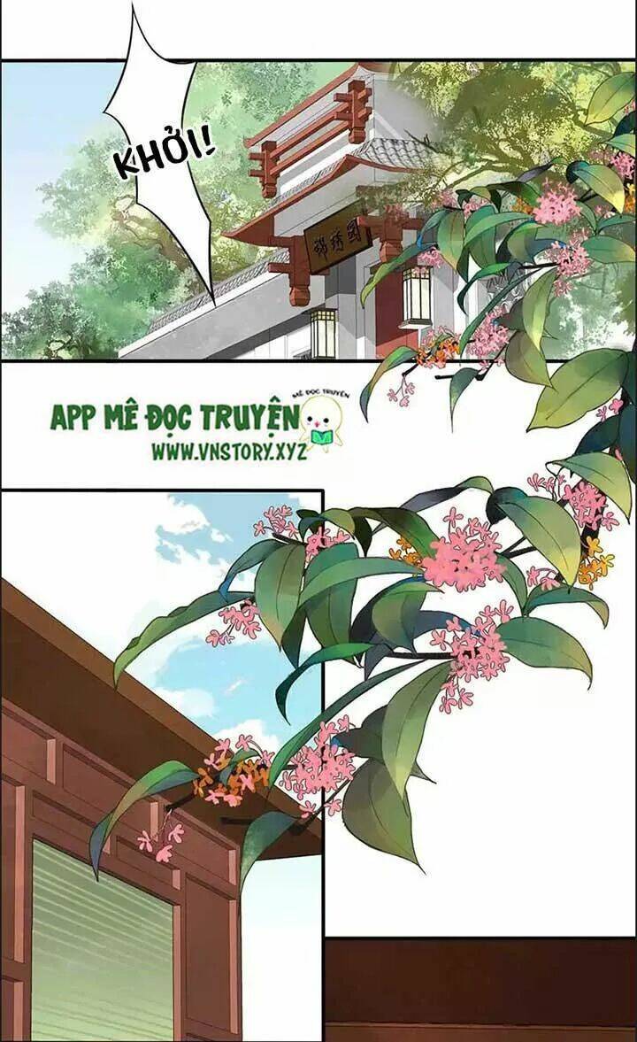 Kiều Nữ Độc Phi - Chương 66