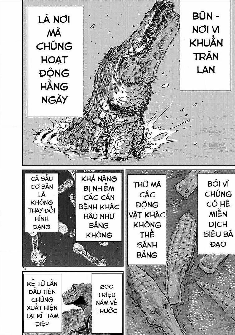 Killing Bites - Chương 11