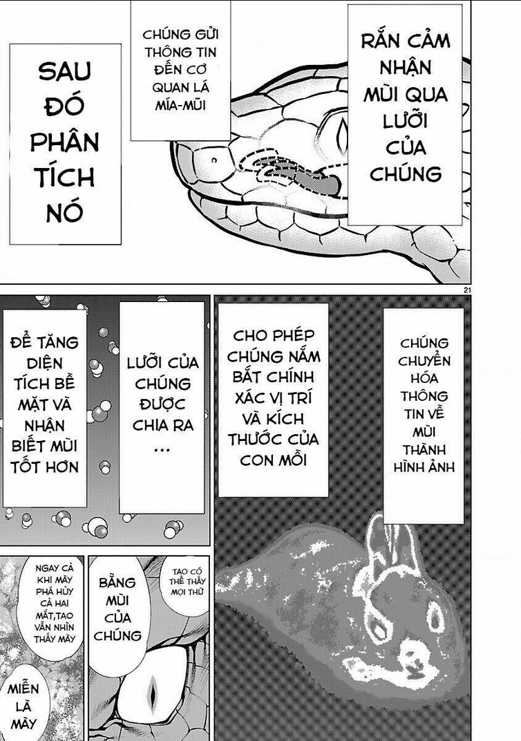 Killing Bites - Chương 14