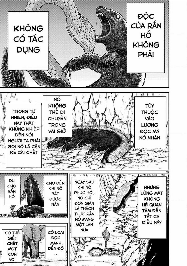 Killing Bites - Chương 15