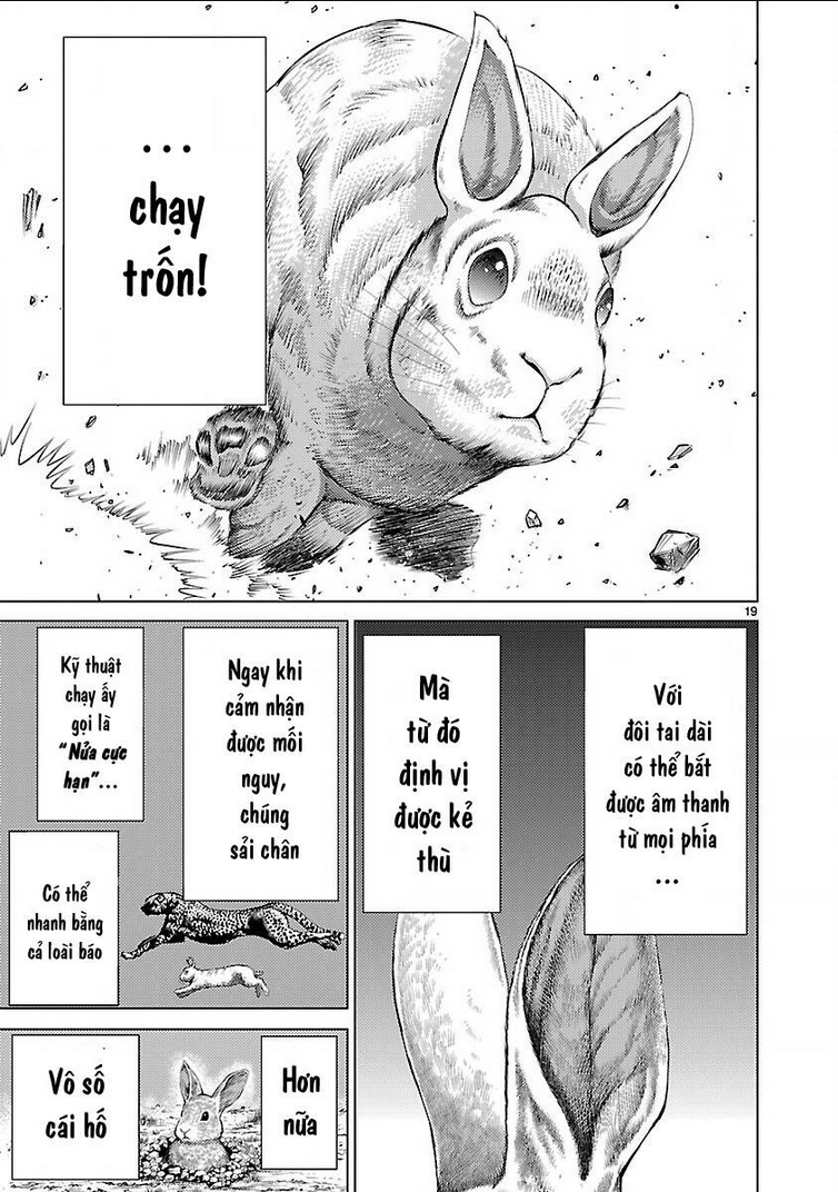 Killing Bites - Chương 19