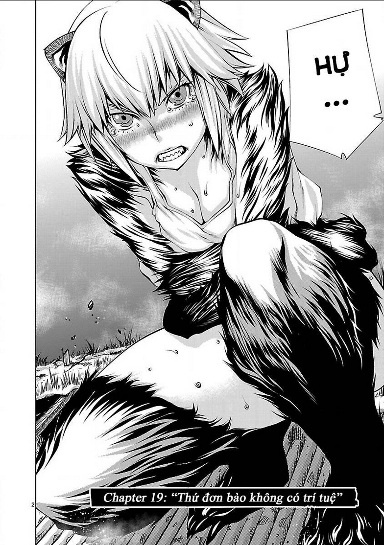 Killing Bites - Chương 19