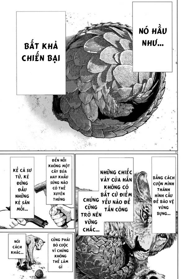 Killing Bites - Chương 24