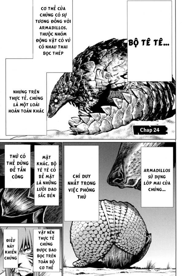 Killing Bites - Chương 24