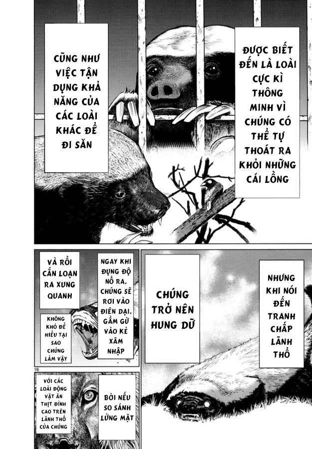 Killing Bites - Chương 26