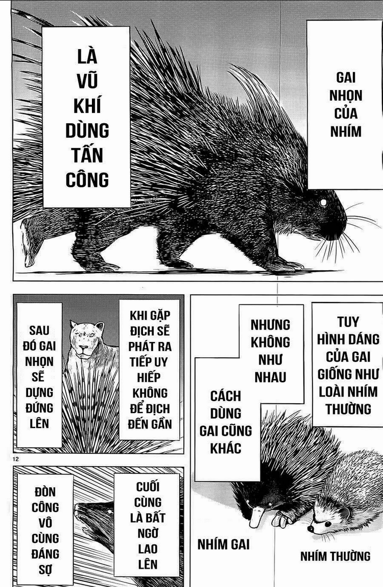 Killing Bites - Chương 3