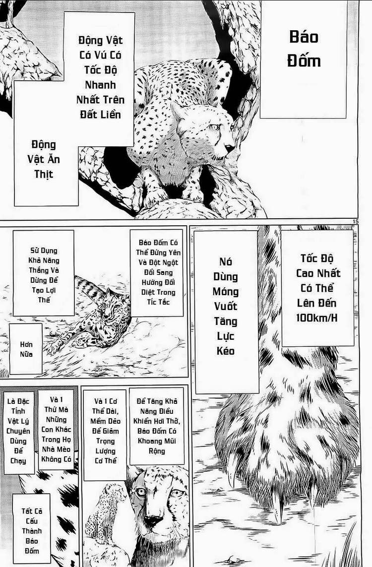 Killing Bites - Chương 5