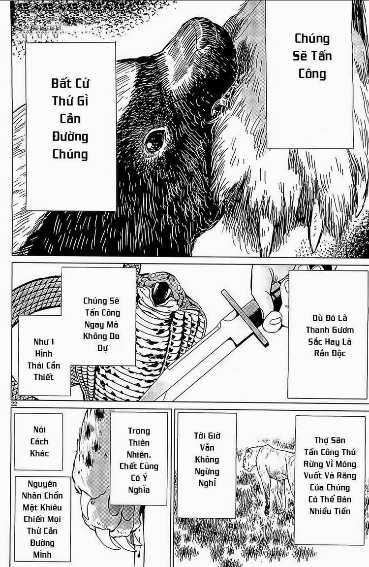 Killing Bites - Chương 5