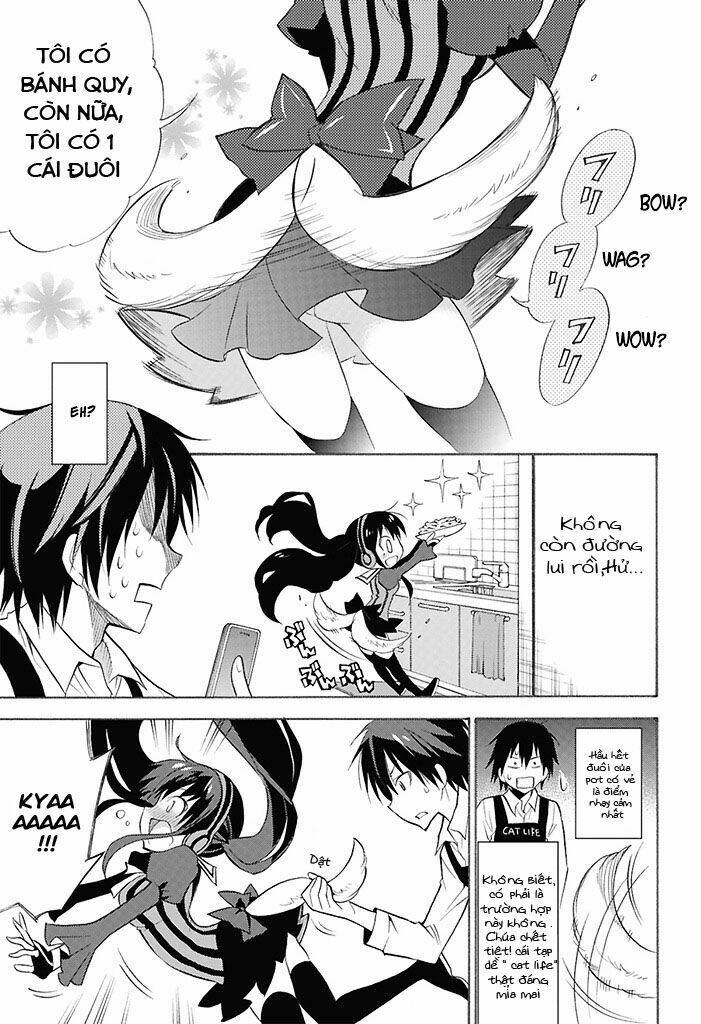 Kms Potato Time - Chương 2