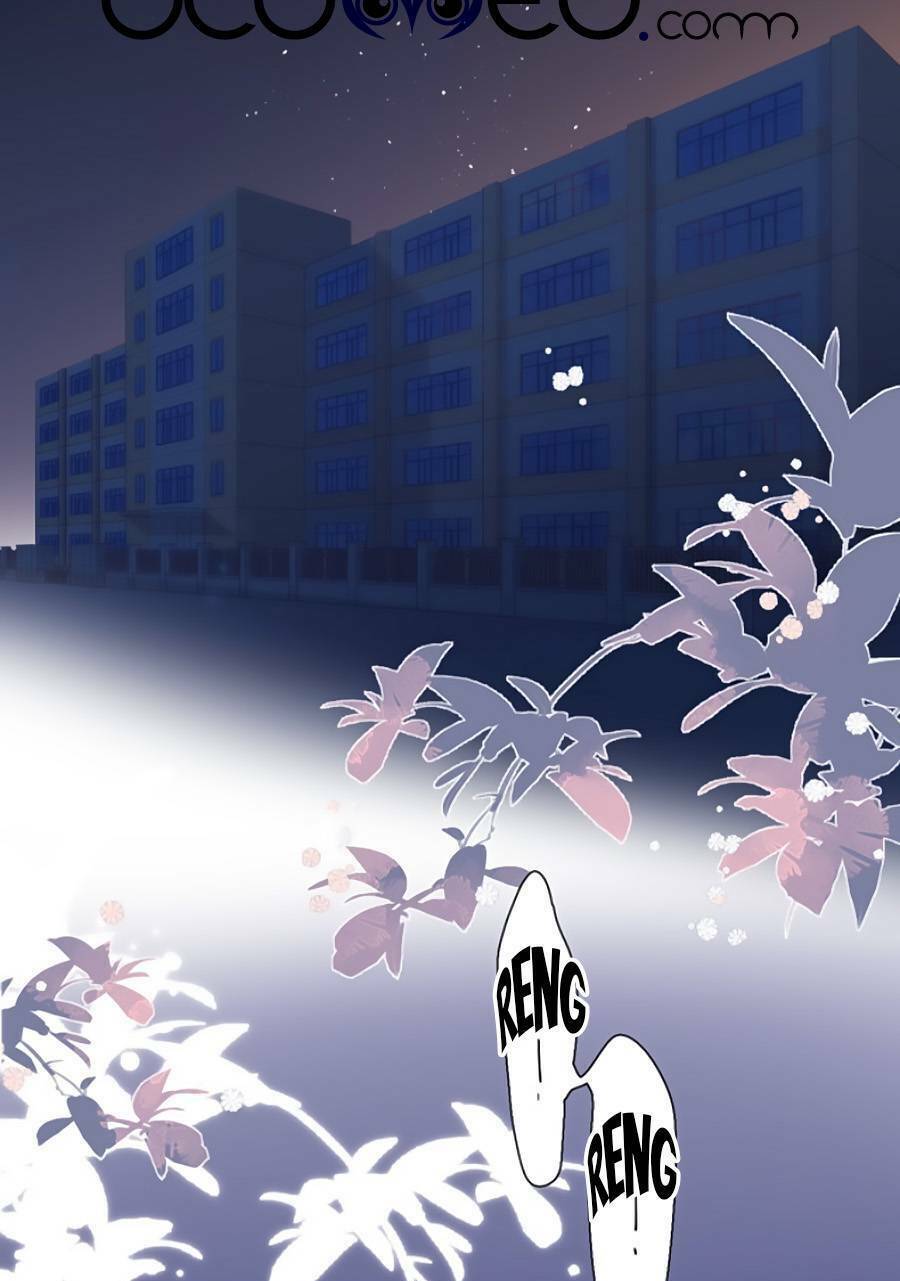 Lại Gặp Được Em - Chương 148