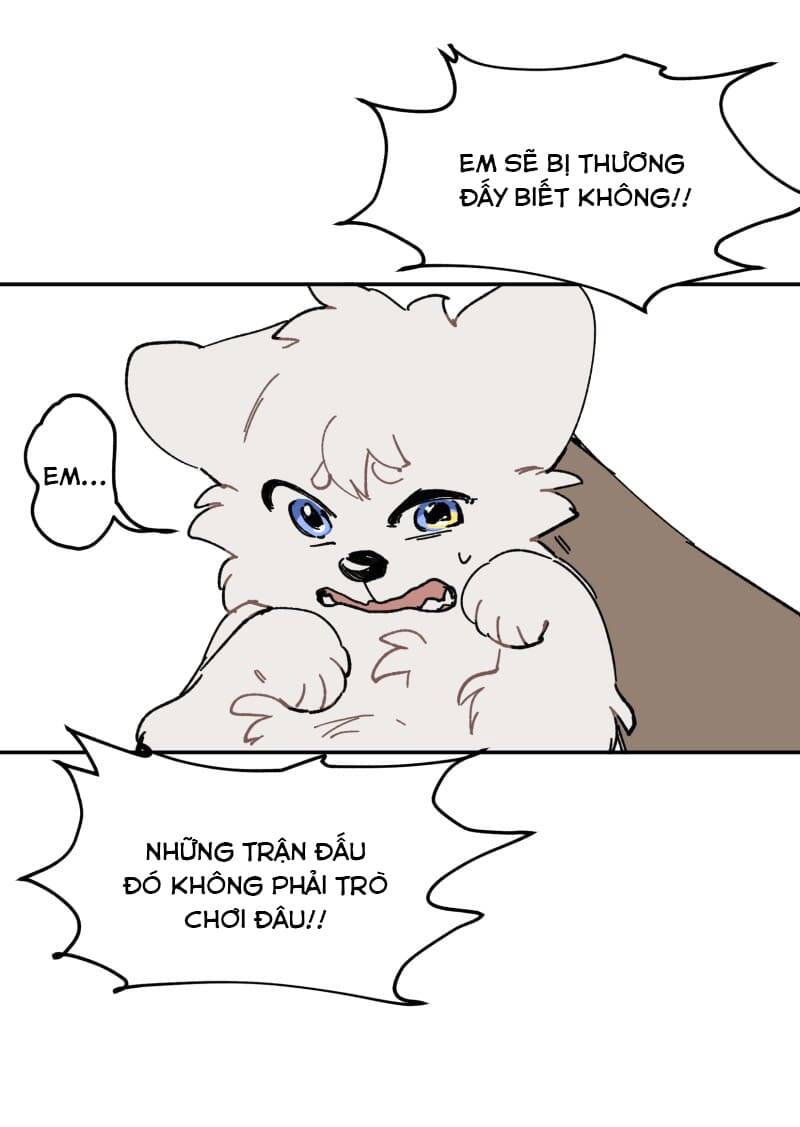 Lumine - Chương 107