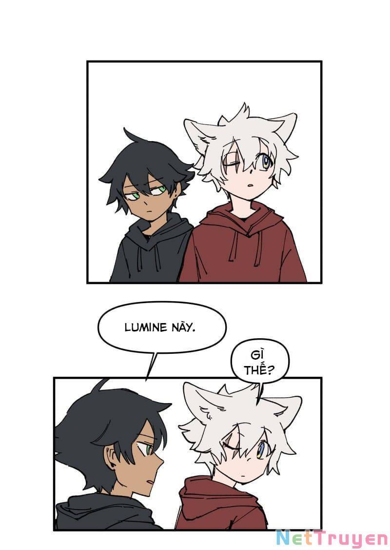 Lumine - Chương 162