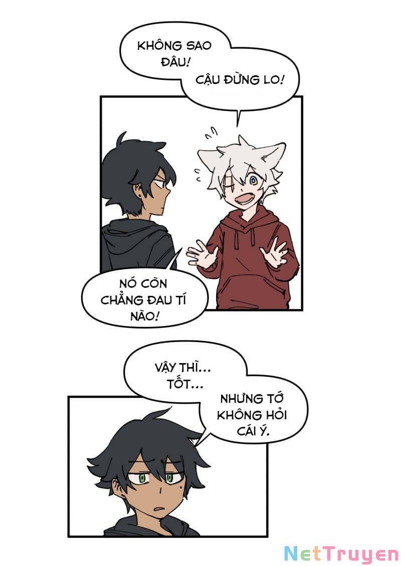 Lumine - Chương 162