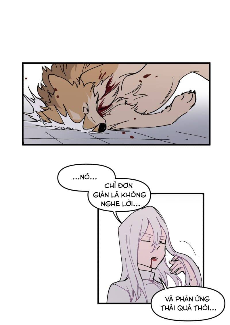 Lumine - Chương 166