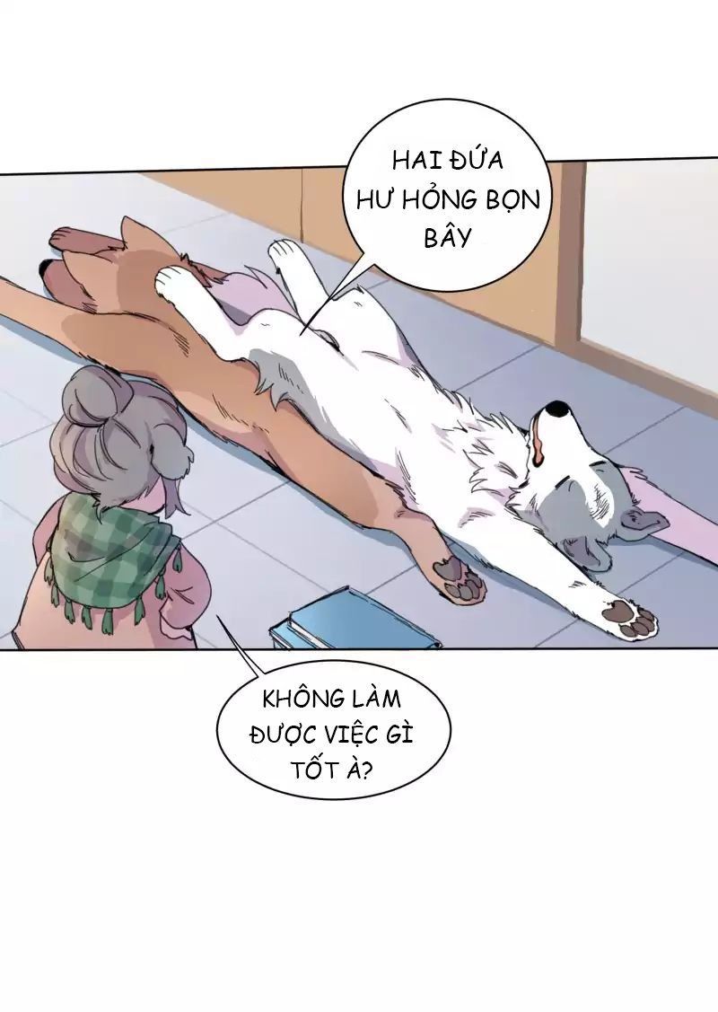 Lumine - Chương 19