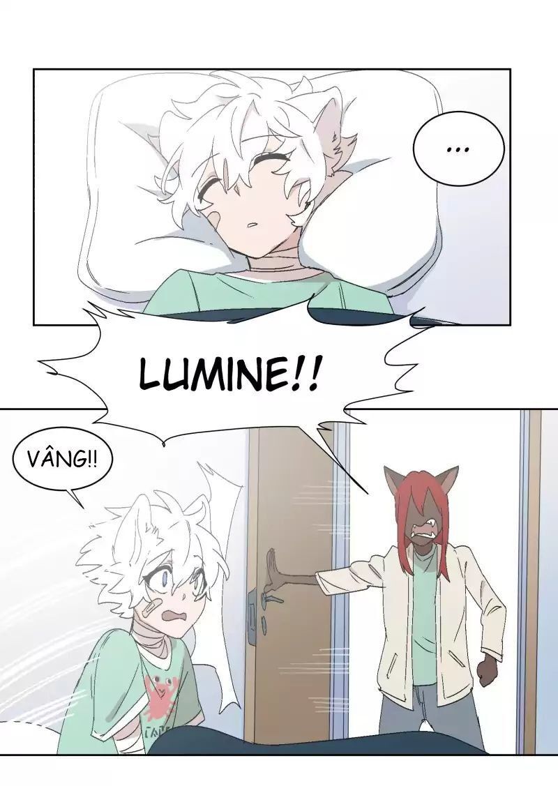 Lumine - Chương 30