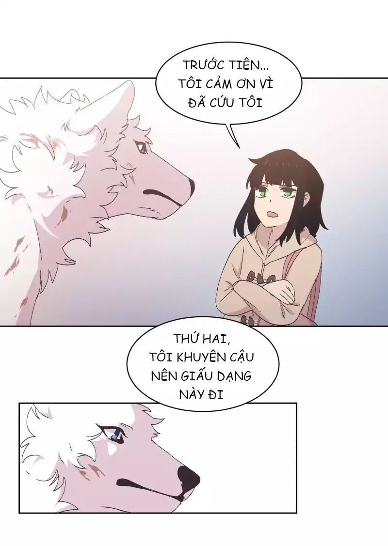 Lumine - Chương 34