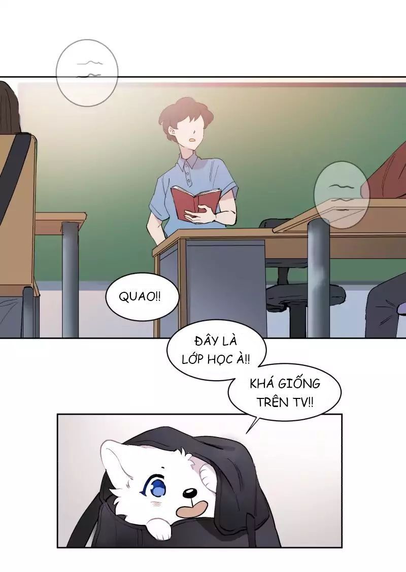 Lumine - Chương 43