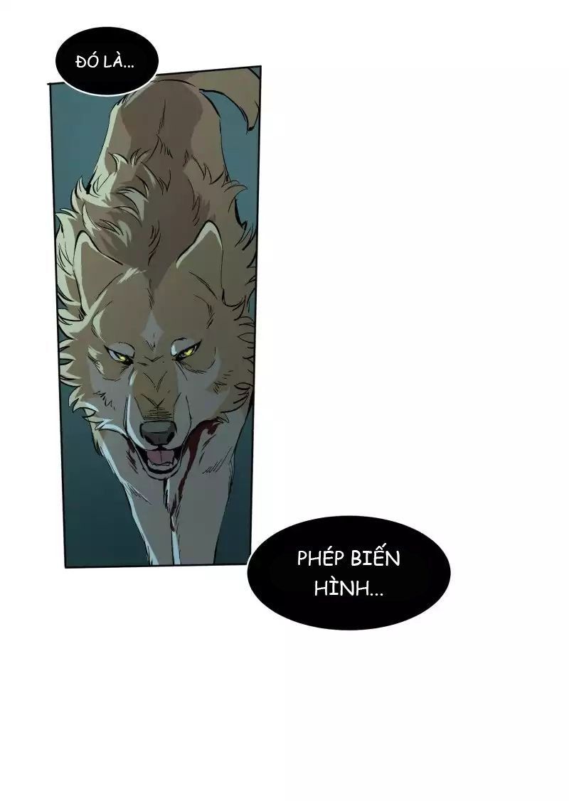 Lumine - Chương 51