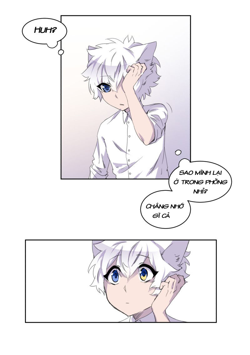Lumine - Chương 6