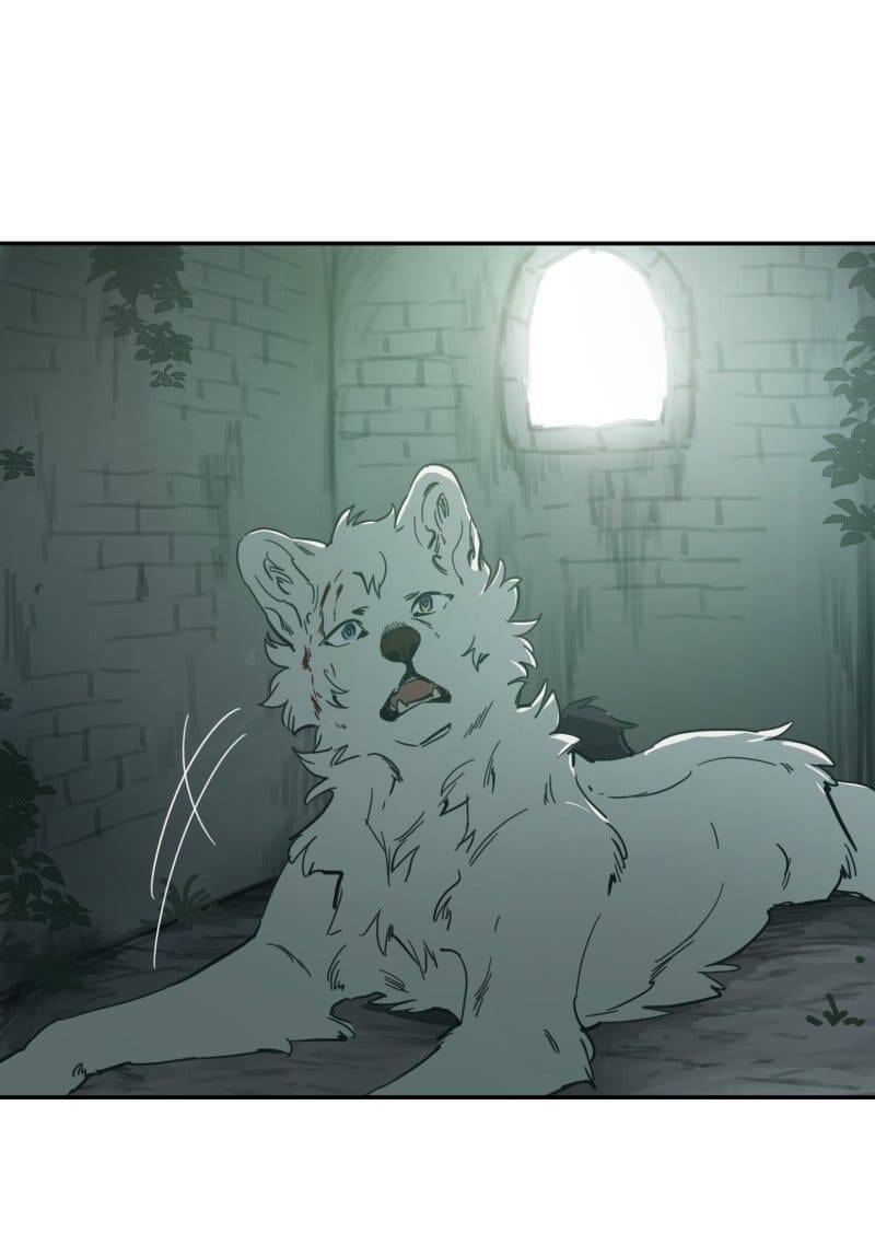 Lumine - Chương 79