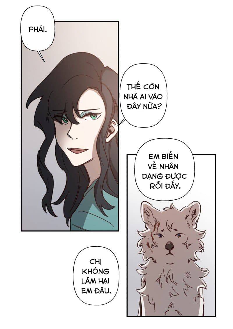 Lumine - Chương 80