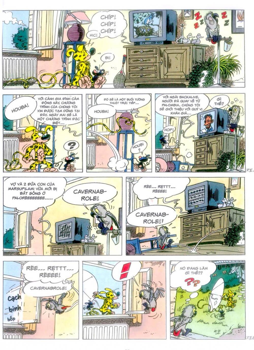 Marsupilami - Chương 10